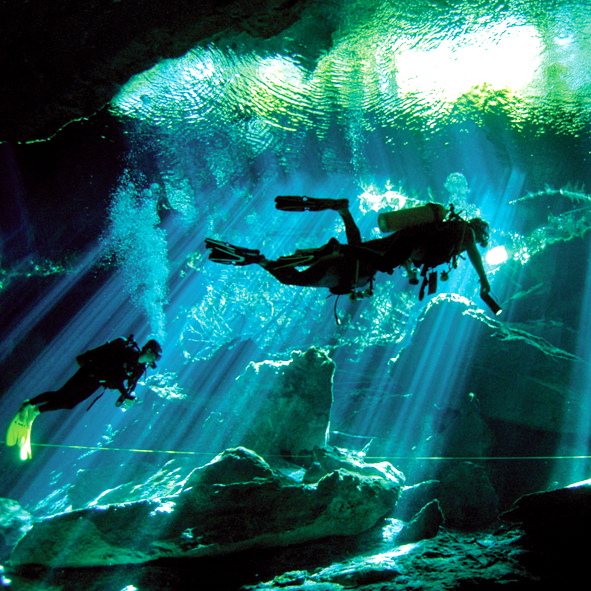 Bucer en los cenotes – RIVIERA MAYA, AVENTURA Y ECOTURISMO